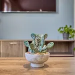Appartement New! Spacious 3 Bedroom In Mgarr By Sf Homes *